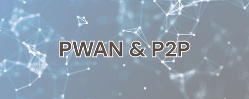 PWAN & P2P Business Connectivity