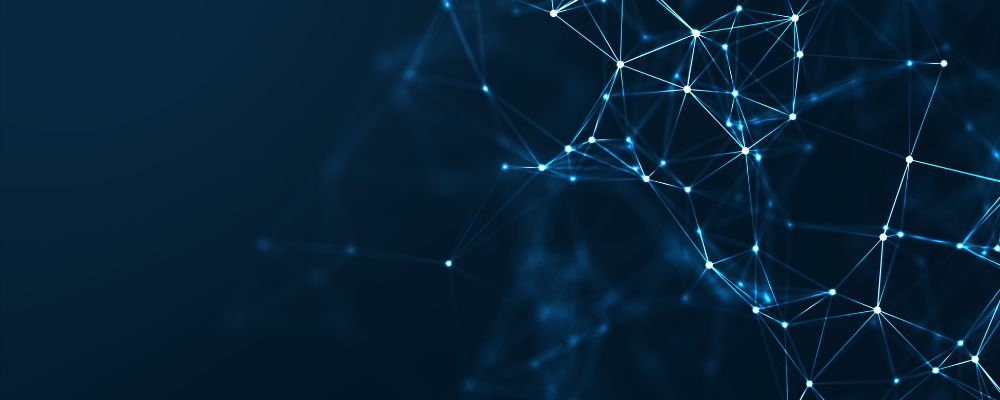 PWAN & P2P Business Connectivity